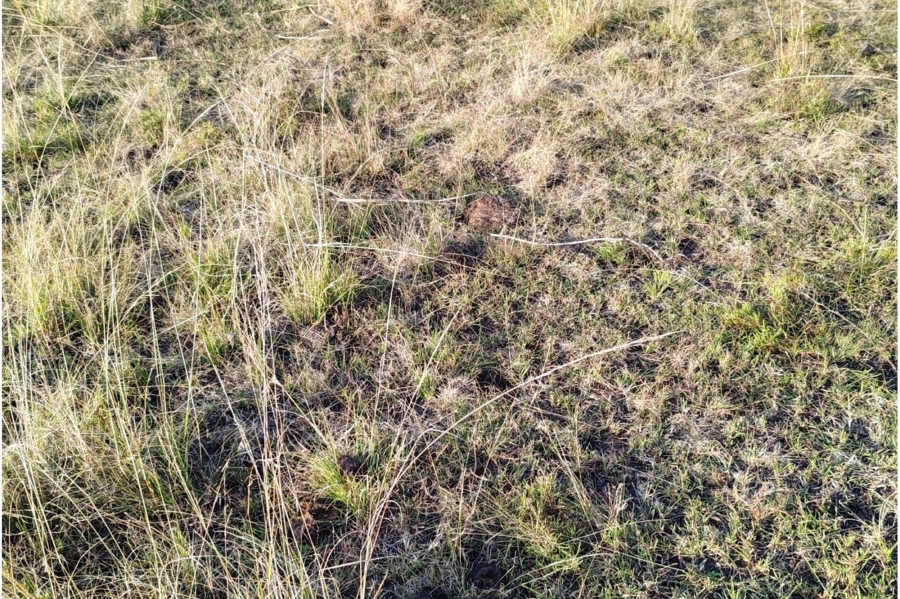 0 Bedroom Property for Sale in Metsimaholo Free State